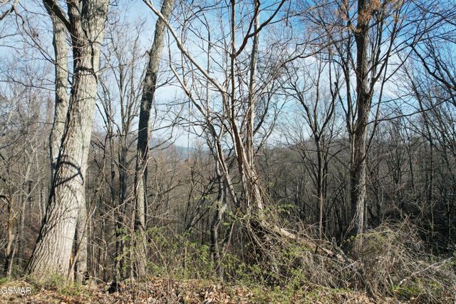 2 Spurling Way, Sevierville, TN 37862