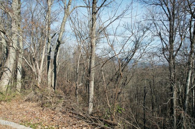 2 Spurling Way, Sevierville, TN 37862