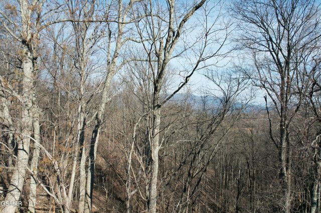 2 Spurling Way, Sevierville, TN 37862