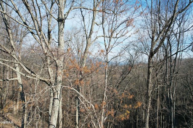 2 Spurling Way, Sevierville, TN 37862