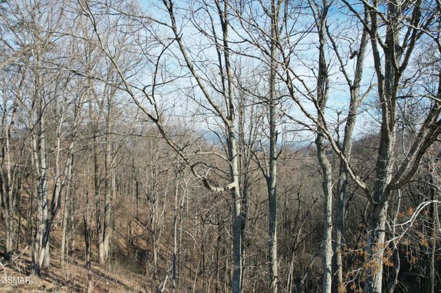 2 Spurling Way, Sevierville, TN 37862