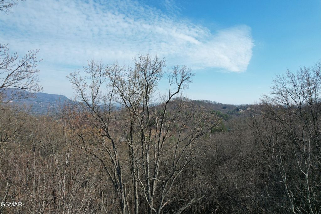 2 Spurling Way, Sevierville, TN 37862