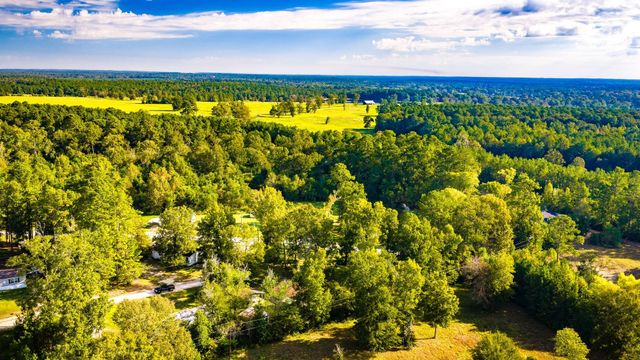 127 Forest Drive, Livingston, TX 77351
