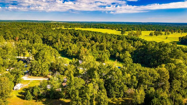 127 Forest Drive, Livingston, TX 77351
