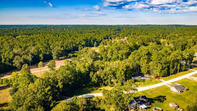 127 Forest Drive, Livingston, TX 77351
