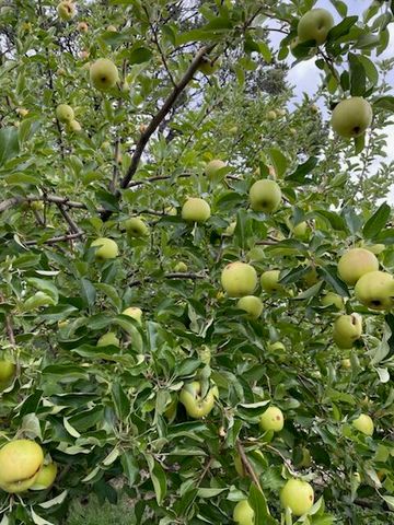 3 Del Oso Lane, Cedar Crest, NM 87008