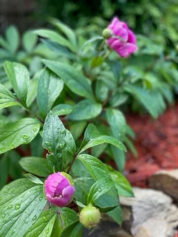 3 Del Oso Lane, Cedar Crest, NM 87008