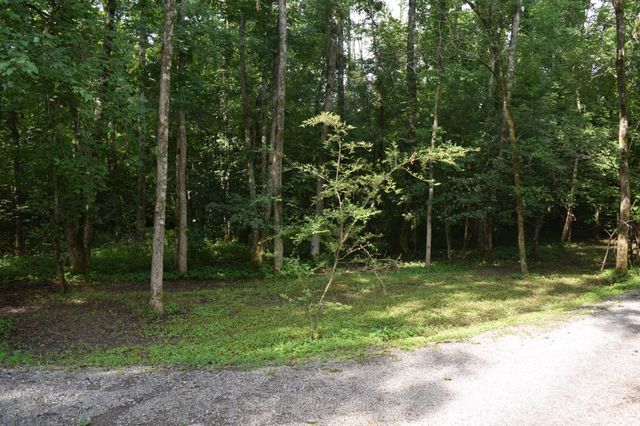 9856 Mullins Cove Road, Whitwell, TN 37397