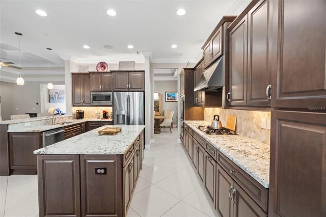 30581 IVY FORGE COURT, Wesley Chapel, FL 33543