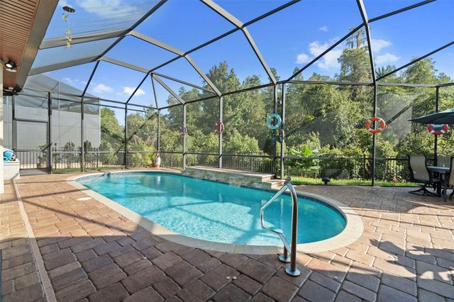 30581 IVY FORGE COURT, Wesley Chapel, FL 33543