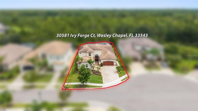 30581 IVY FORGE COURT, Wesley Chapel, FL 33543