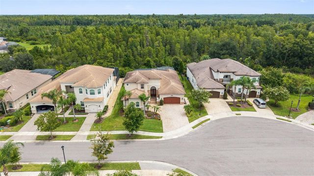 30581 IVY FORGE COURT, Wesley Chapel, FL 33543