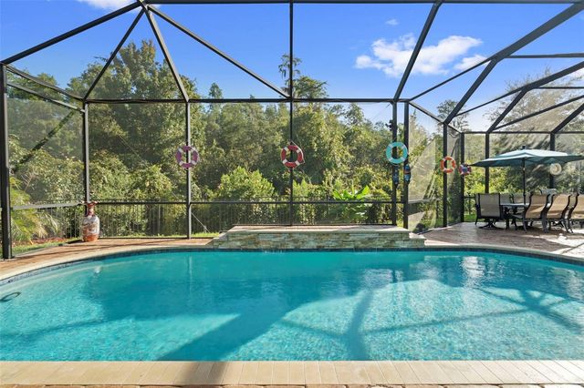30581 IVY FORGE COURT, Wesley Chapel, FL 33543