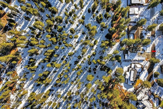 1264 Hidden Woods Drive, Zephyr Cove, NV 89448