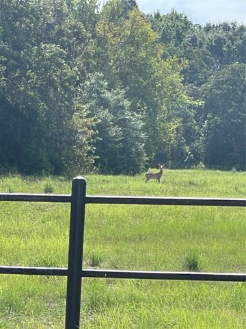 Tract 1 US HWY 175, Athens, TX 75752