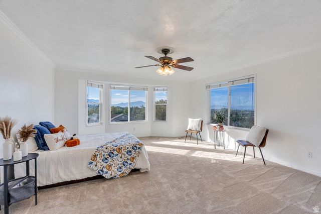 875 E 400 N, Lindon, UT 84042
