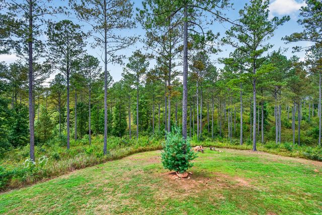 1068 High River Road, Ellijay, GA 30540
