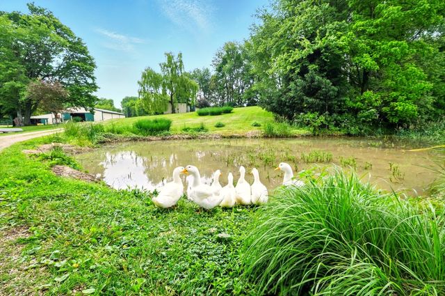 7955 Horn Road, Gambier, OH 43022