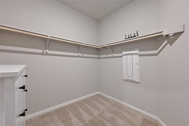 222 Coralbean DR, Kyle, TX 78640