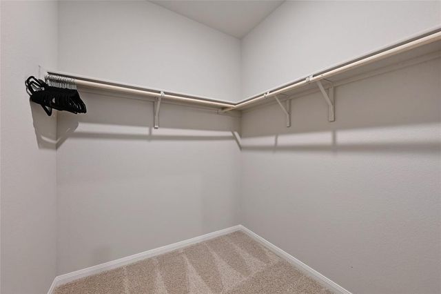 222 Coralbean DR, Kyle, TX 78640