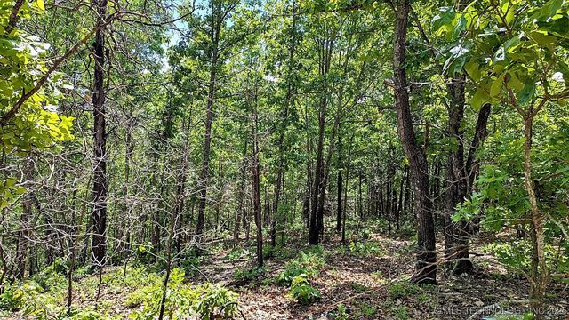 468000 E 595 Road, Westville, OK 74965