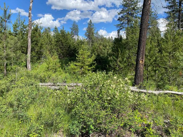 xx W Montgomery Rd, Deer Park, WA 99006