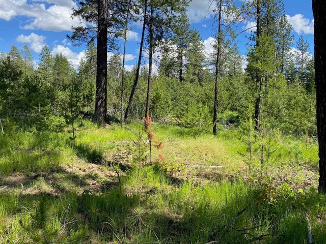xx W Montgomery Rd, Deer Park, WA 99006