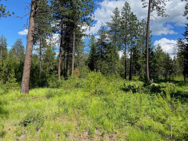 xx W Montgomery Rd, Deer Park, WA 99006