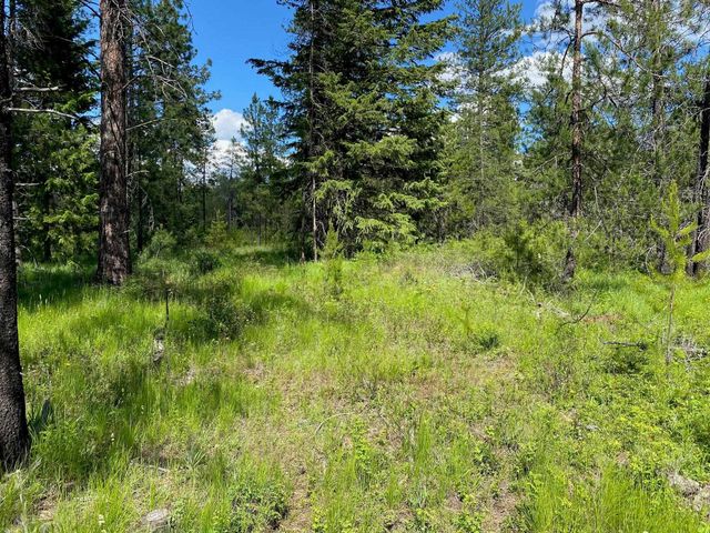 xx W Montgomery Rd, Deer Park, WA 99006