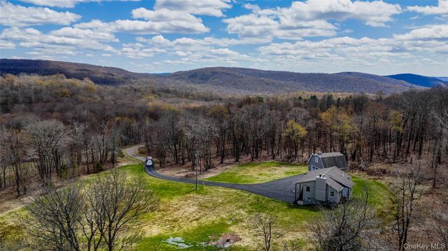 1029 Spring Brook Estates Road, Roscoe, NY 12776