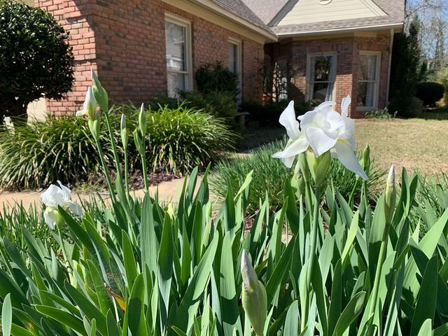19 Parkplace Court, Dothan, AL 36301
