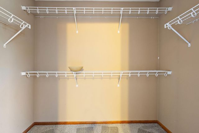 1201 Olivia Street SE, New Prague, MN 56071