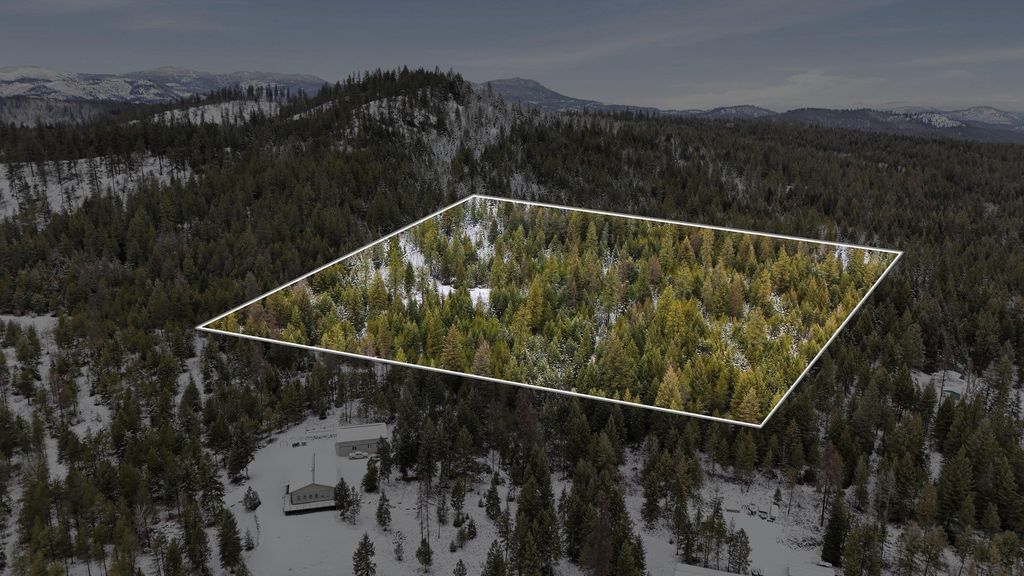 xxx Lumberg Rd, Valley, WA 99181