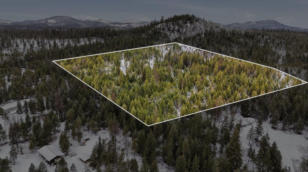 xxx Lumberg Rd, Valley, WA 99181 photo 2