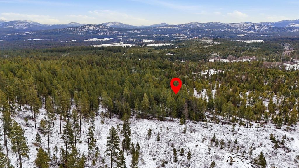 xxx Lumberg Rd, Valley, WA 99181 photo 5