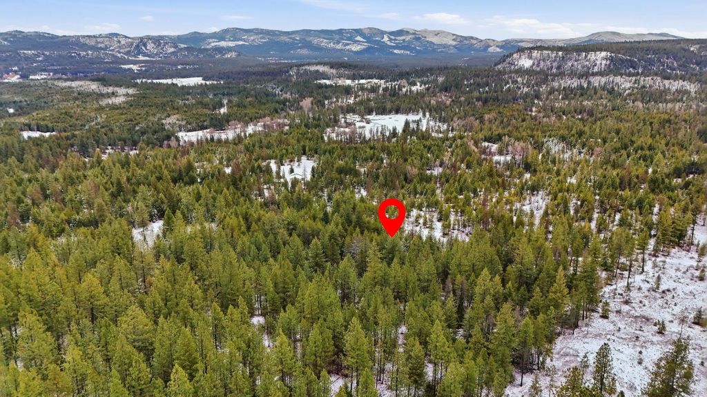 xxx Lumberg Rd, Valley, WA 99181 photo 6