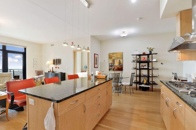 1120 S 2nd Street 1009, Minneapolis, MN 55415