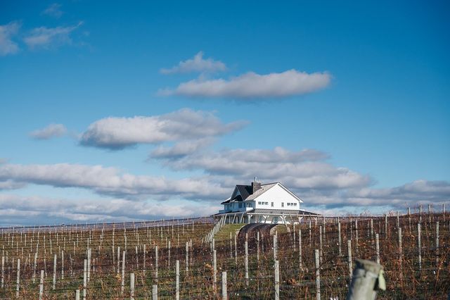 8062 Sayler Road, Acme Twp, MI 49690