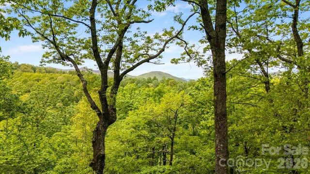 100 Gold Creek Crossing, Black Mountain, NC 28711