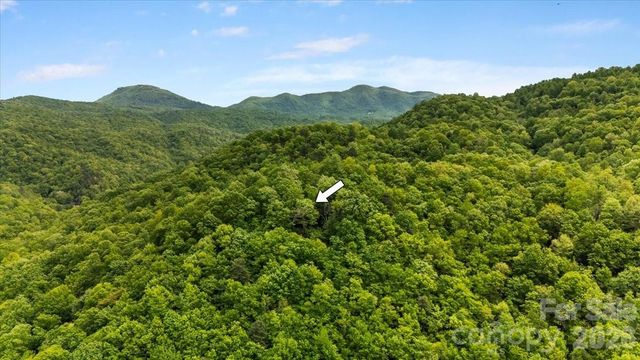 100 Gold Creek Crossing, Black Mountain, NC 28711