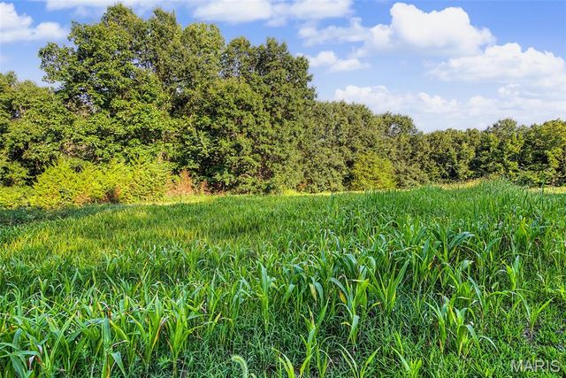10 Henebry Hills Lane, Troy, MO 63379
