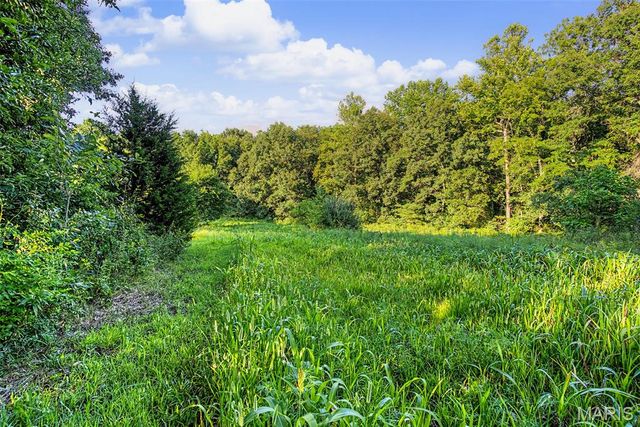 10 Henebry Hills Lane, Troy, MO 63379