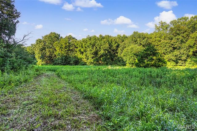 10 Henebry Hills Lane, Troy, MO 63379