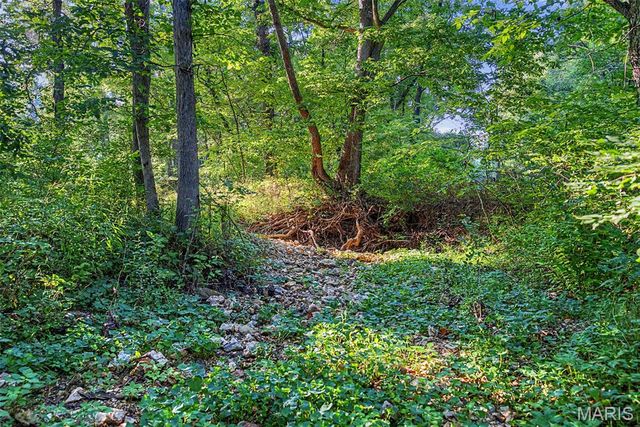 10 Henebry Hills Lane, Troy, MO 63379