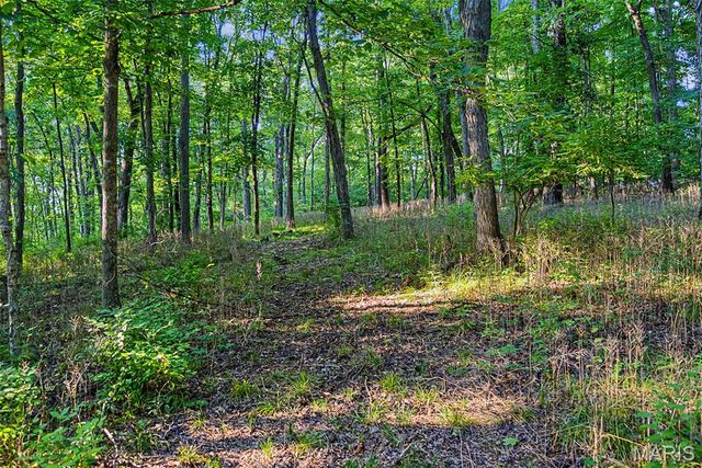 10 Henebry Hills Lane, Troy, MO 63379