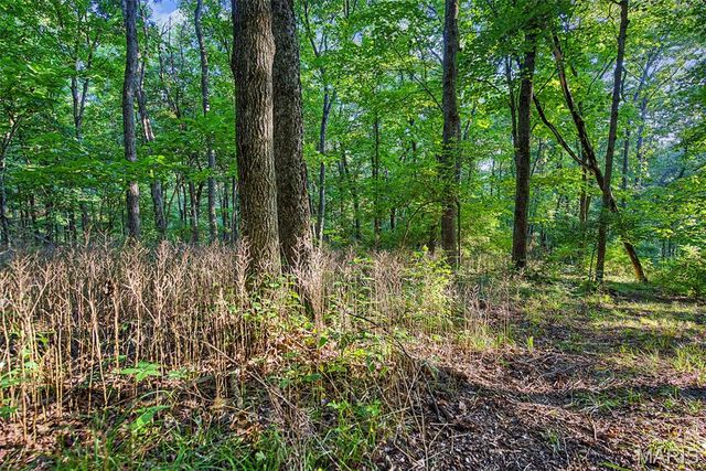 10 Henebry Hills Lane, Troy, MO 63379