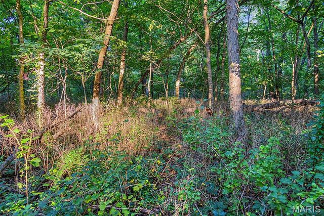 10 Henebry Hills Lane, Troy, MO 63379