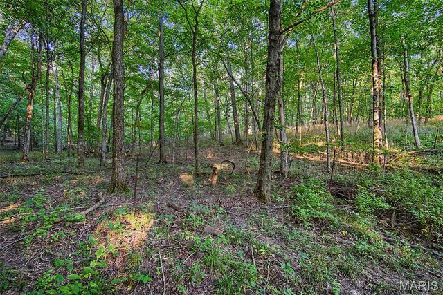 10 Henebry Hills Lane, Troy, MO 63379