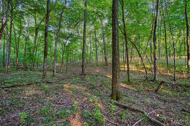 10 Henebry Hills Lane, Troy, MO 63379