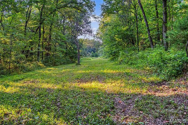 10 Henebry Hills Lane, Troy, MO 63379